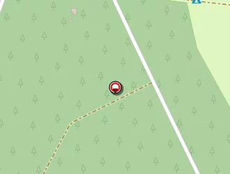 Carte de Marques Lionel à Hourtin