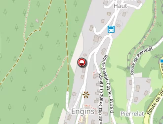 Carte de Mairie à Engins