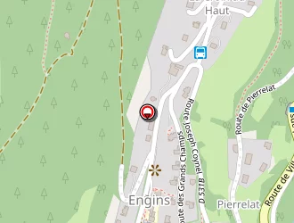 Carte de Breull Thierry à Engins