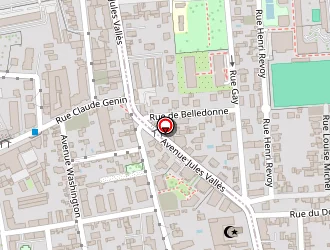 Carte de Zinc Alpes à Grenoble