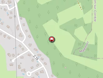 Carte de Desrameaux Michel à Ussac