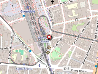 Carte de Thai Bangkok à Grenoble