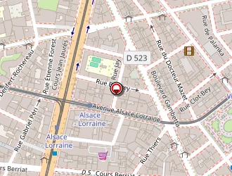 Carte de Brouchier Annie à Grenoble