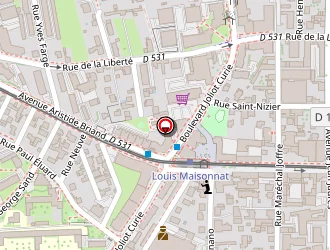 Carte de Varini Brice à Fontaine