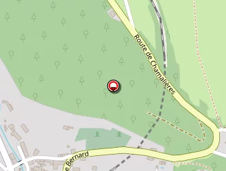 Carte de Guinand Roland à Vorey