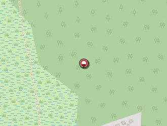 Carte de Dunes Organisations à Hourtin