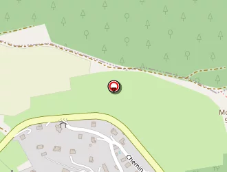 Carte de Angelier Agnès à Revel