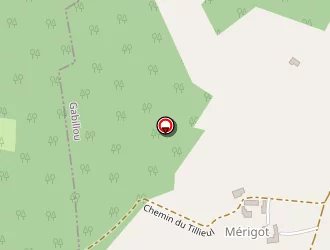 Carte de Truffe Des Merigots à Gabillou