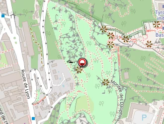 Carte de Tex Mex à Grenoble