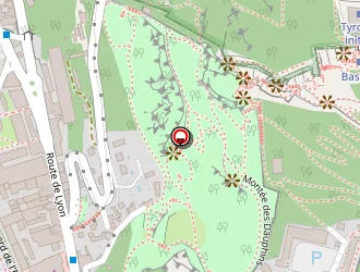 Carte de La Soupe Aux Choux à Grenoble