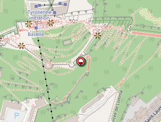 Carte de Tsuboi Wakiko à Grenoble