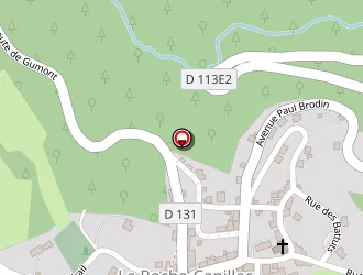 Carte de Demichel Andrée à Roche-canillac (la)