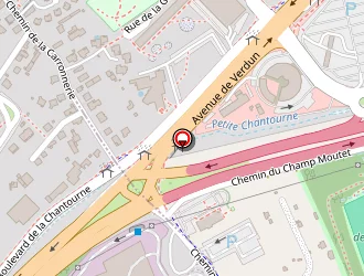 Carte de Seigler Mickaël à Tronche (la)