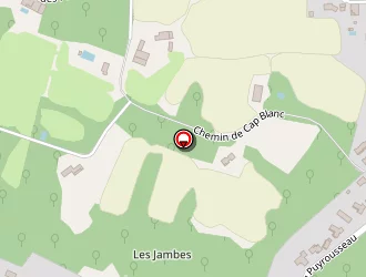 Carte de Kuchler Bérénice à Périgueux