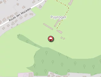 Carte de Petite Souris Photographie à Périgueux