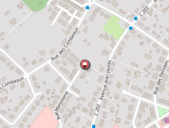 Carte de Etrusques à Chancelade