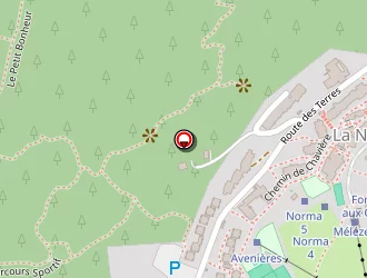 Carte de Cellard Sylvain à Villarodin-bourget