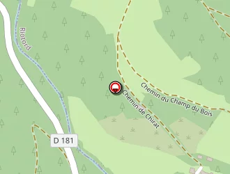 Carte de Scierie Beal à Dunières