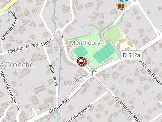 Carte de S.t.p. à Tronche (la)