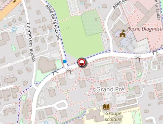 Carte de Depp Immobilier à Meylan