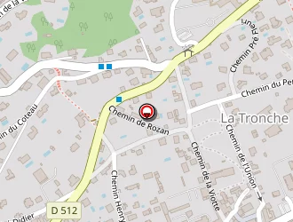 Carte de Phone Sav à Tronche (la)