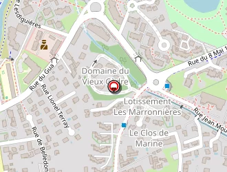 Carte de Nguyen Tatania à Sassenage