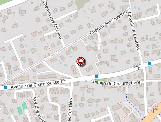 Carte de Burlet Estelle à Meylan