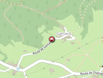 Carte de Bonny Serge à Roche-en-régnier