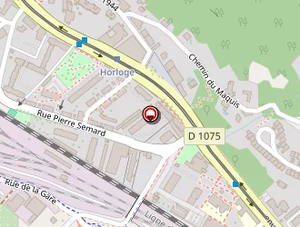 Carte de Chatain Pascal à Saint-martin-le-vinoux