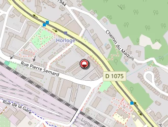 Carte de Aimo-boot Florian à Saint-martin-le-vinoux