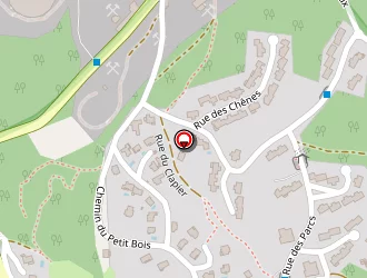 Carte de Castille à Sassenage