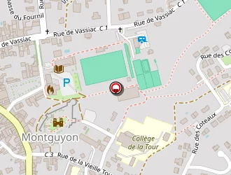 Carte de Chevalier Dominique à Montguyon