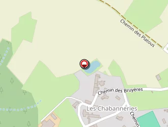 Carte de Garnier Pierre à Saint-maurice-de-lignon