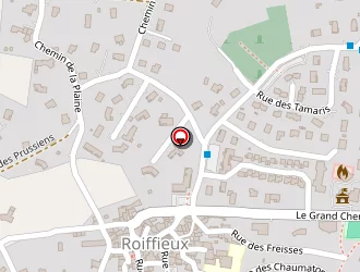 Carte de Urgence (services Locaux) à Roiffieux