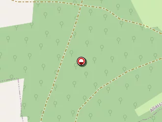 Carte de Bauvy Pascal à Allassac