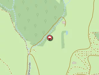 Carte de E.s.b. à Roiffieux