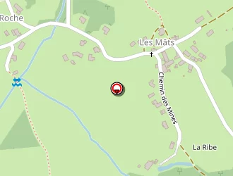 Carte de Cornillon Anthony à Saint-pal-de-mons