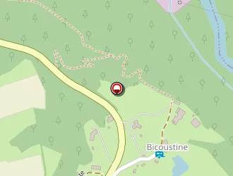 Carte de Paulet Patrick à Saint-maurice-de-lignon