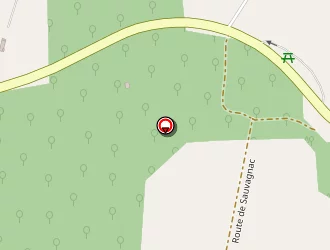 Carte de Sauvagnac à Douchapt