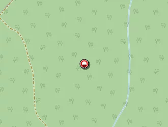 Carte de Riffaud Jean à Vertheuil