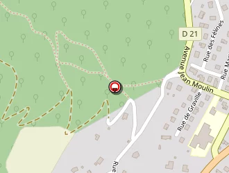 Carte de Mergoil Eric à Massiac