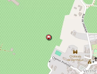 Carte de Mairie à Vertheuil