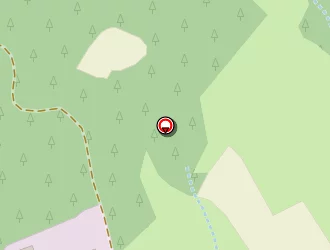 Carte de Garage Manevy à Saint-romain-lachalm