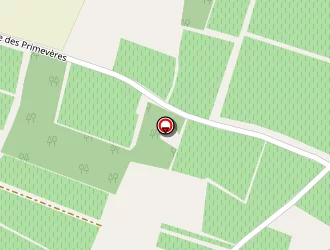 Carte de Roux Thierry à Vertheuil