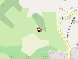 Carte de Urgence (services Locaux) à Chasselay