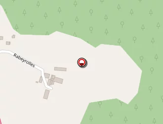 Carte de Chabasseur Monique à Massiac