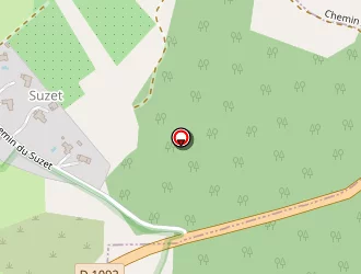 Carte de Bellemin Comte Agnès à Cras