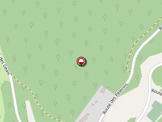 Carte de Urgence (services Locaux) à Bussac