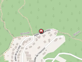 Carte de Giral Serge à Vieille-brioude