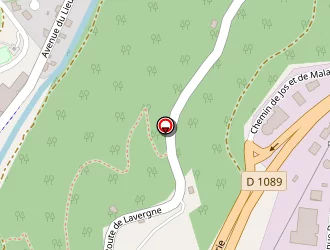 Carte de Teil Manutention à Tulle